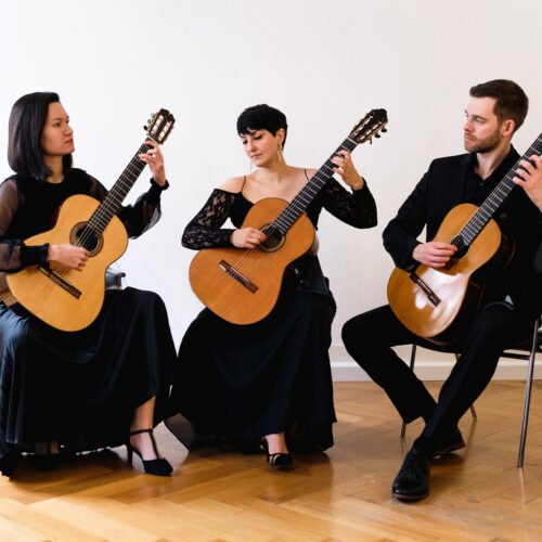 Salzburg Guitar Trio